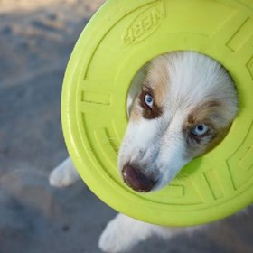 Jessica Ciaramelletti: Sai che il cane è il tuo migliore amico?